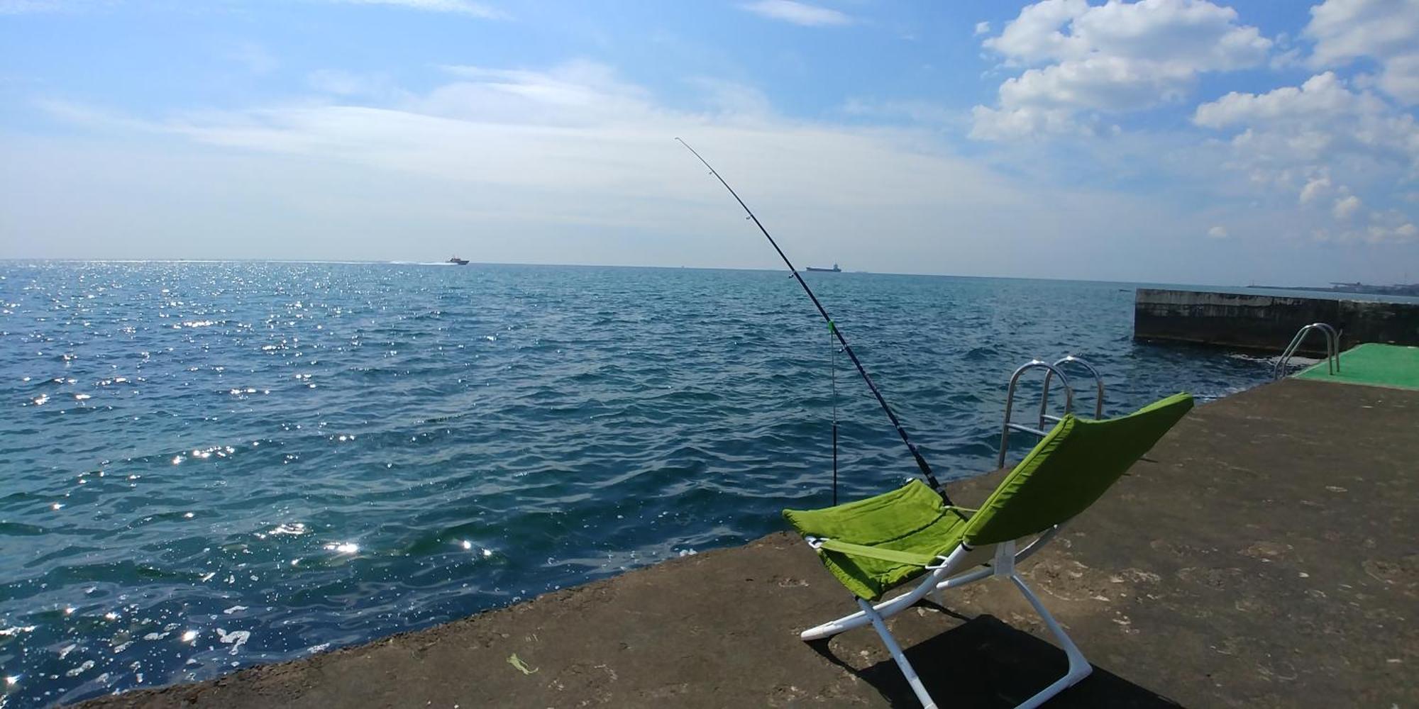 Приватний Котедж З Басейном Біля Моря Совіньон Одеса エクステリア 写真